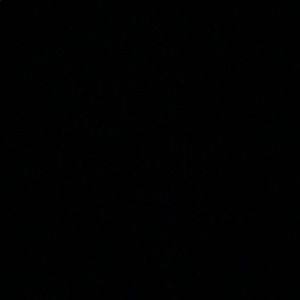 Meet your Posher, Khush